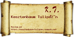 Kesztenbaum Tulipán névjegykártya
